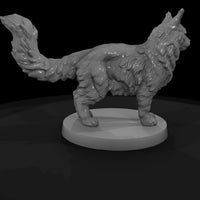 anim-16-maine-coon-cat-4bc6da — thumbnail 5