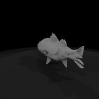 stylized_striped_bass_3d_fish_model_nan68mvk — thumbnail 5