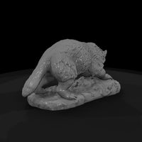 ww-0326-animal-badger — thumbnail 5