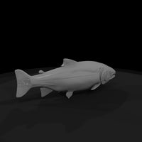 chinook-salmon-miniature-3d-printable-899972 — thumbnail 6