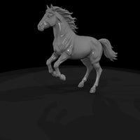 pinto-pony — thumbnail 7