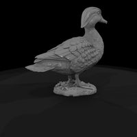 ant-092-wood-duck-female — thumbnail 5