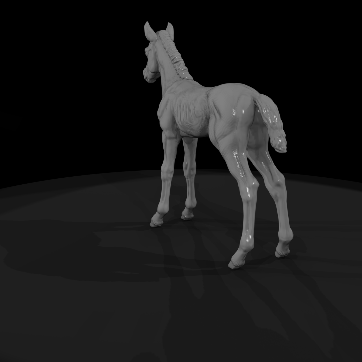 Ww 0289 Animal Foal