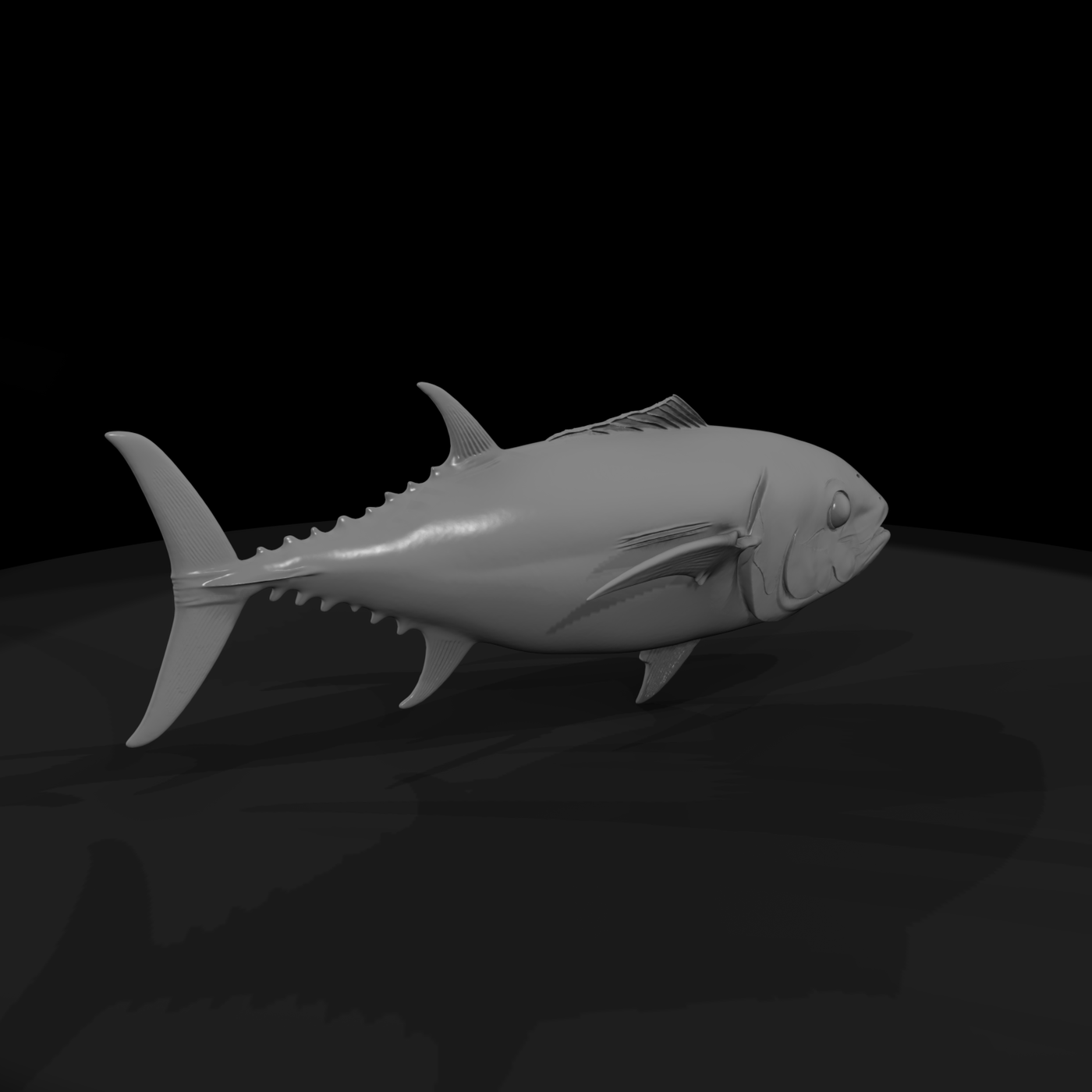 Bluefin Tuna — & Display