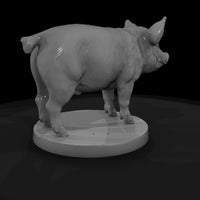 anim-19-pig-5f9cbb — thumbnail 5