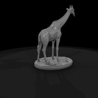 ant-025-giraffe-male — thumbnail 5