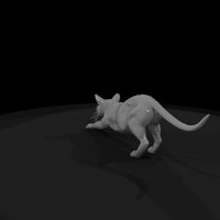a-collection-of-housecats-gray-db27f8fd-meshref — thumbnail 5