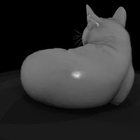 a-collection-of-housecats-sleeping-0cc2f1c3-meshre — thumbnail 5