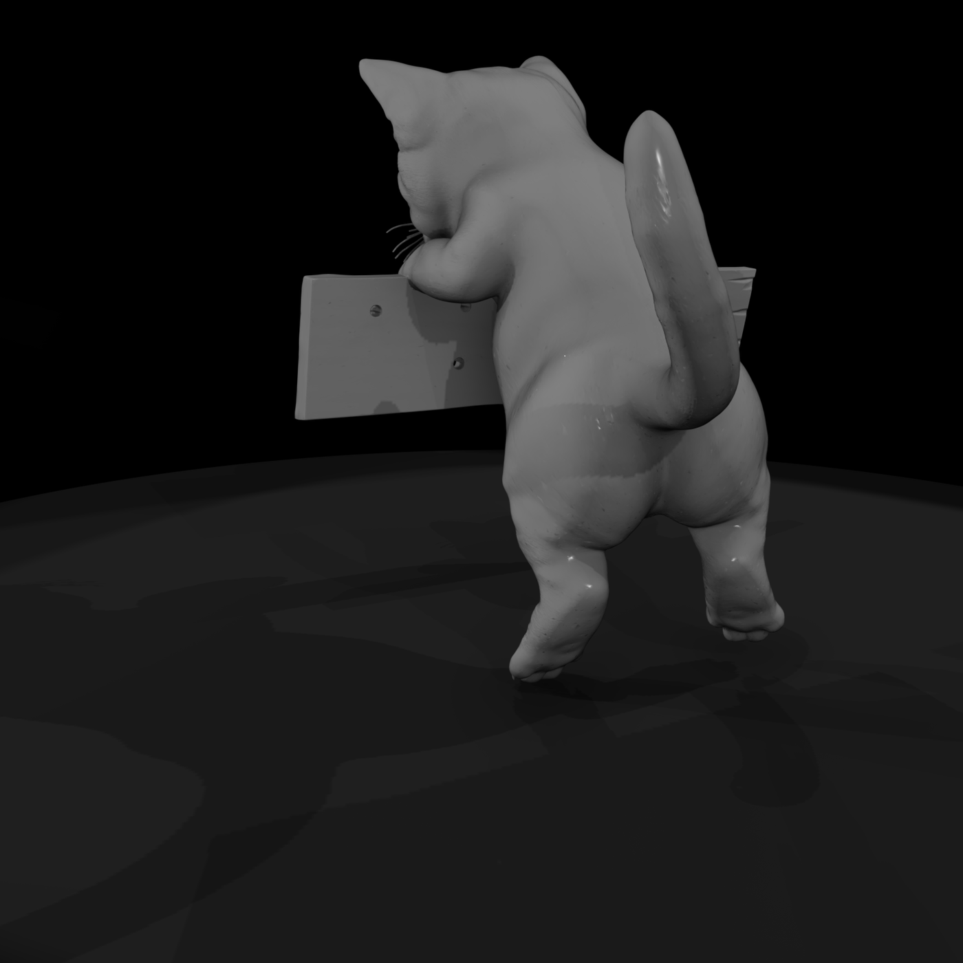 Polydactyl Housecat Set — Sitting & Reaching Poses