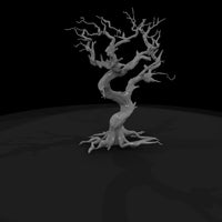 20260612-ancient-twisted-dead-tree-cfc565e291 — thumbnail 6