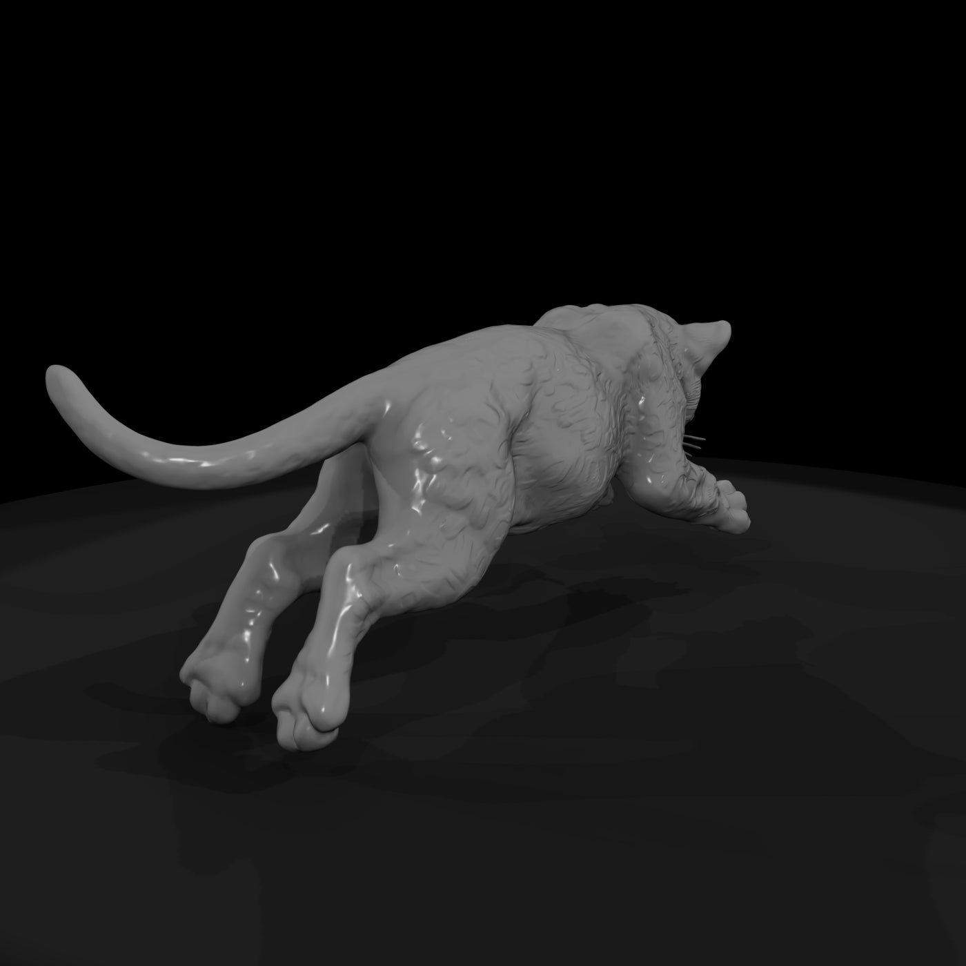 ant-153-jaguar-adolescent