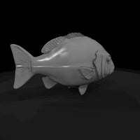 snapper-fish-miniature-for-dioramas-914452 — thumbnail 6