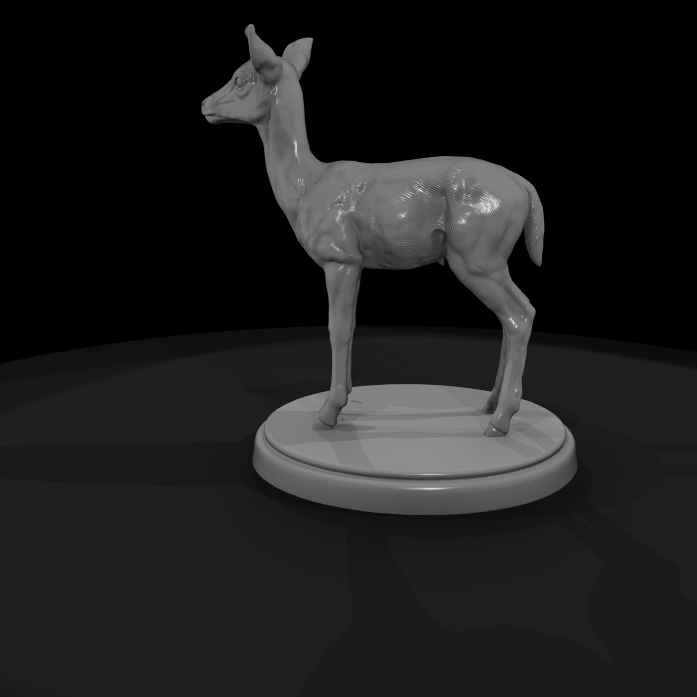 ant-066-impala-adolescent