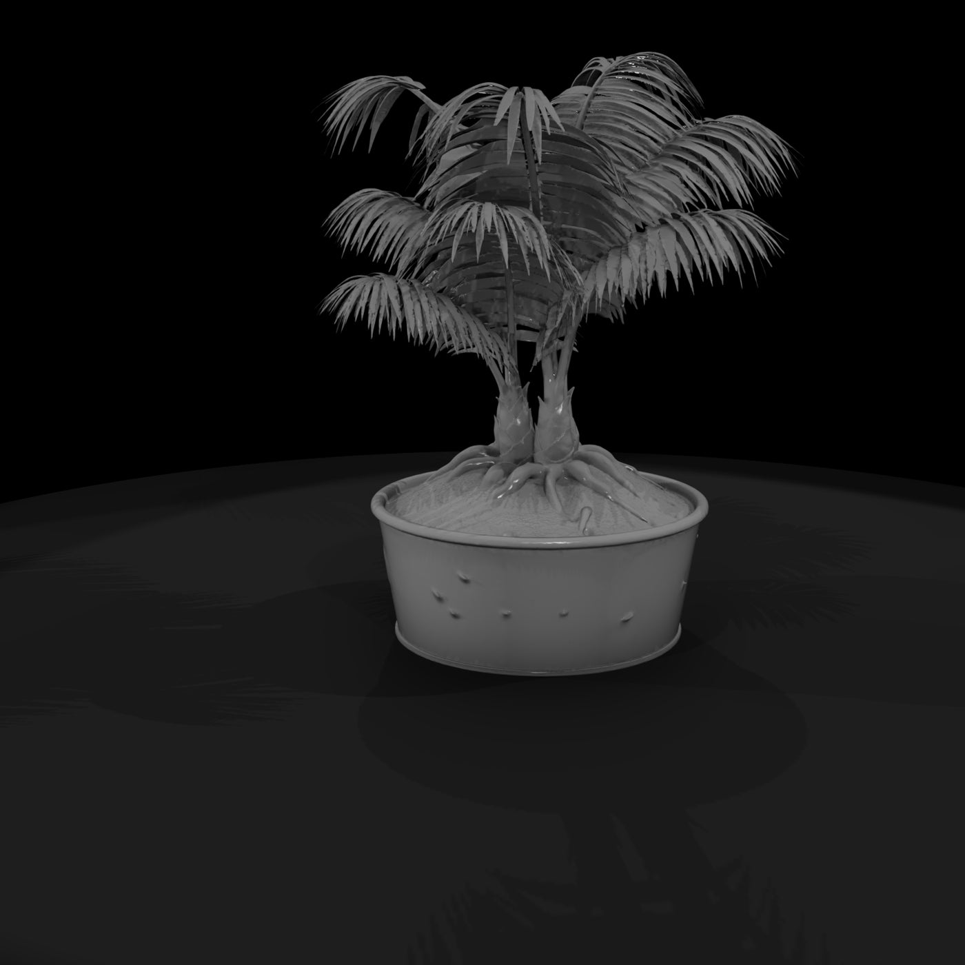 potted-palm-plant-miniature-643506