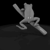stylized_3d_tree_frog_on_branch_chjuomkt — thumbnail 5