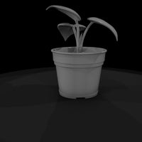 stylized-monochrome-potted-houseplant-3d-model-ak7 — thumbnail 5