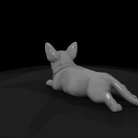 all-the-puppies-8a6f7309-meshref — thumbnail 5