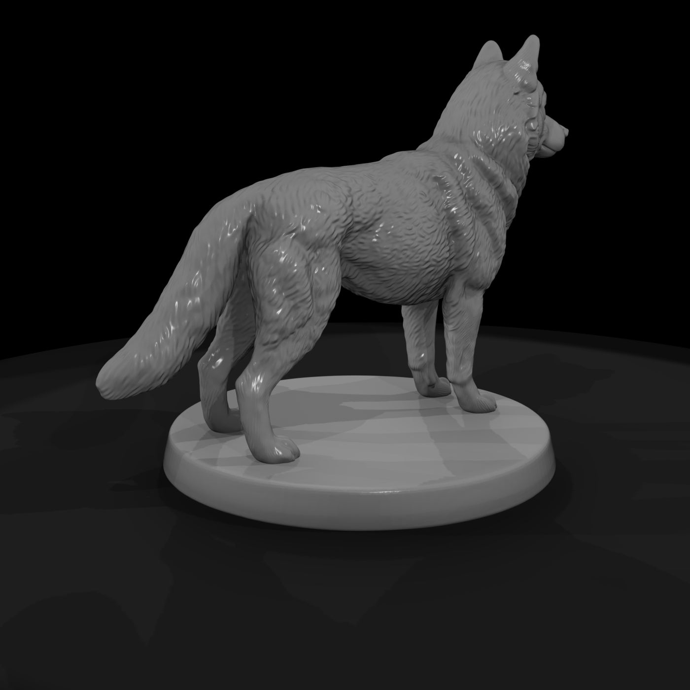 anim-06-siberian-husky-3ba202