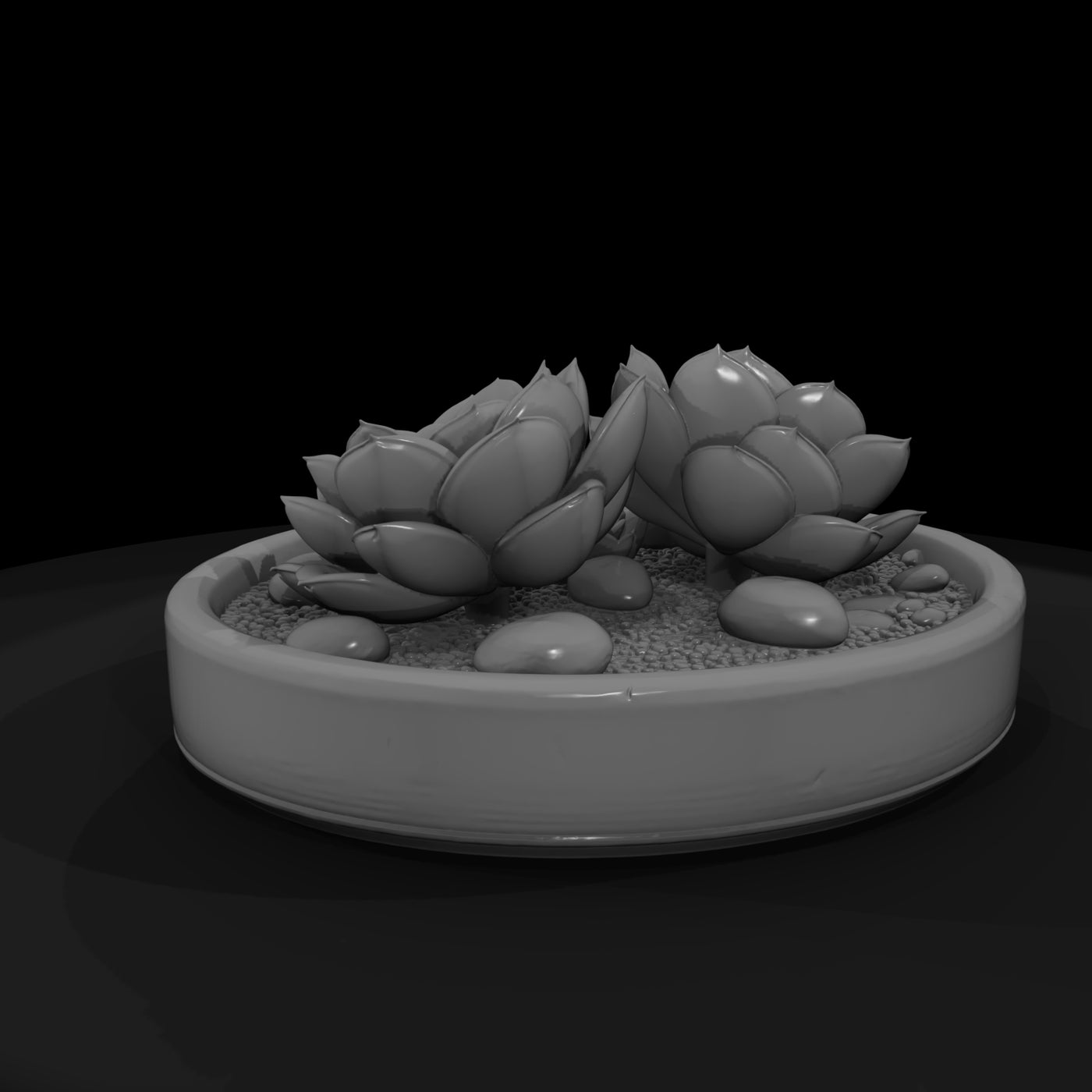minimalist-monochrome-succulent-zen-garden-3d-printable-miniature-265295