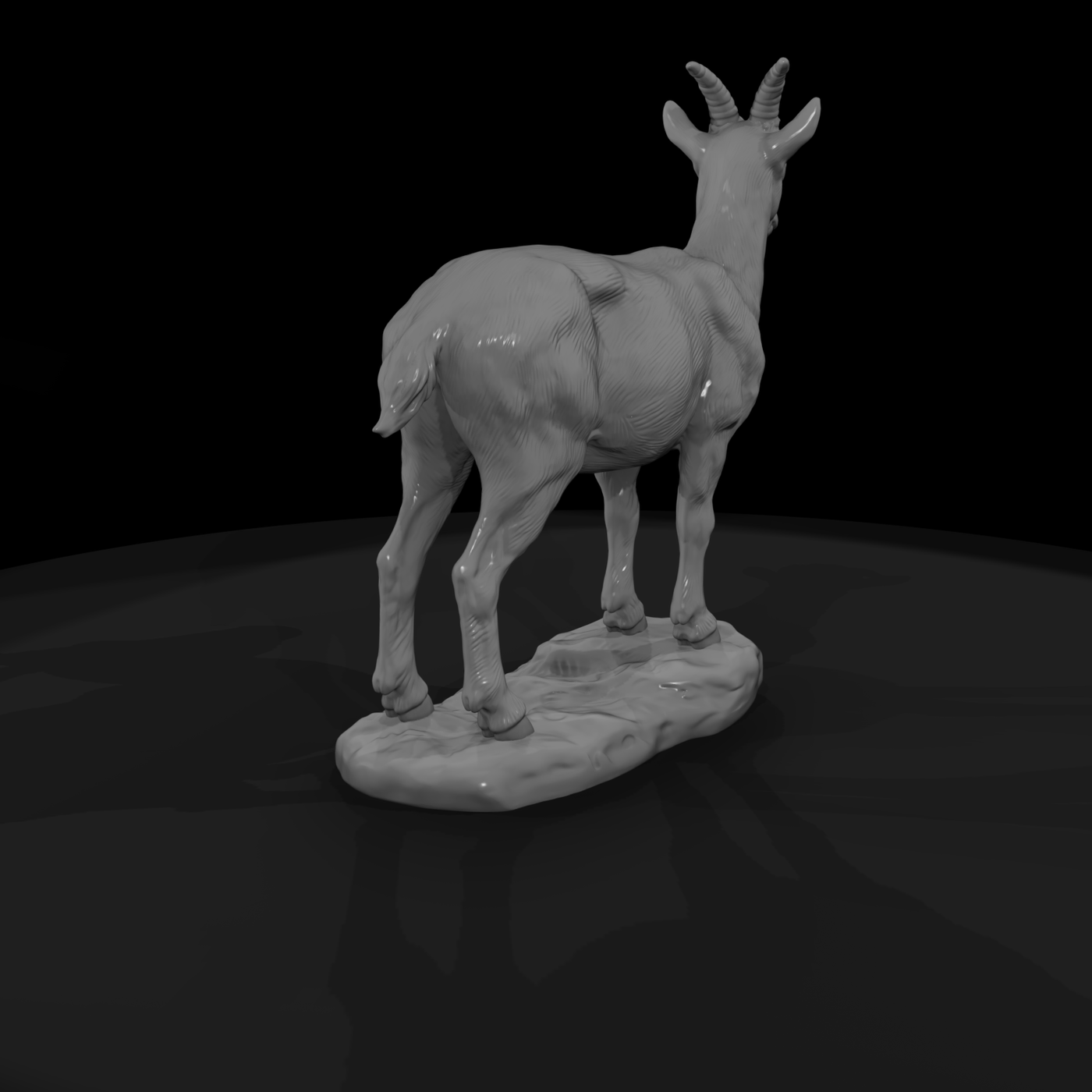 Ant 281 Markhor Female