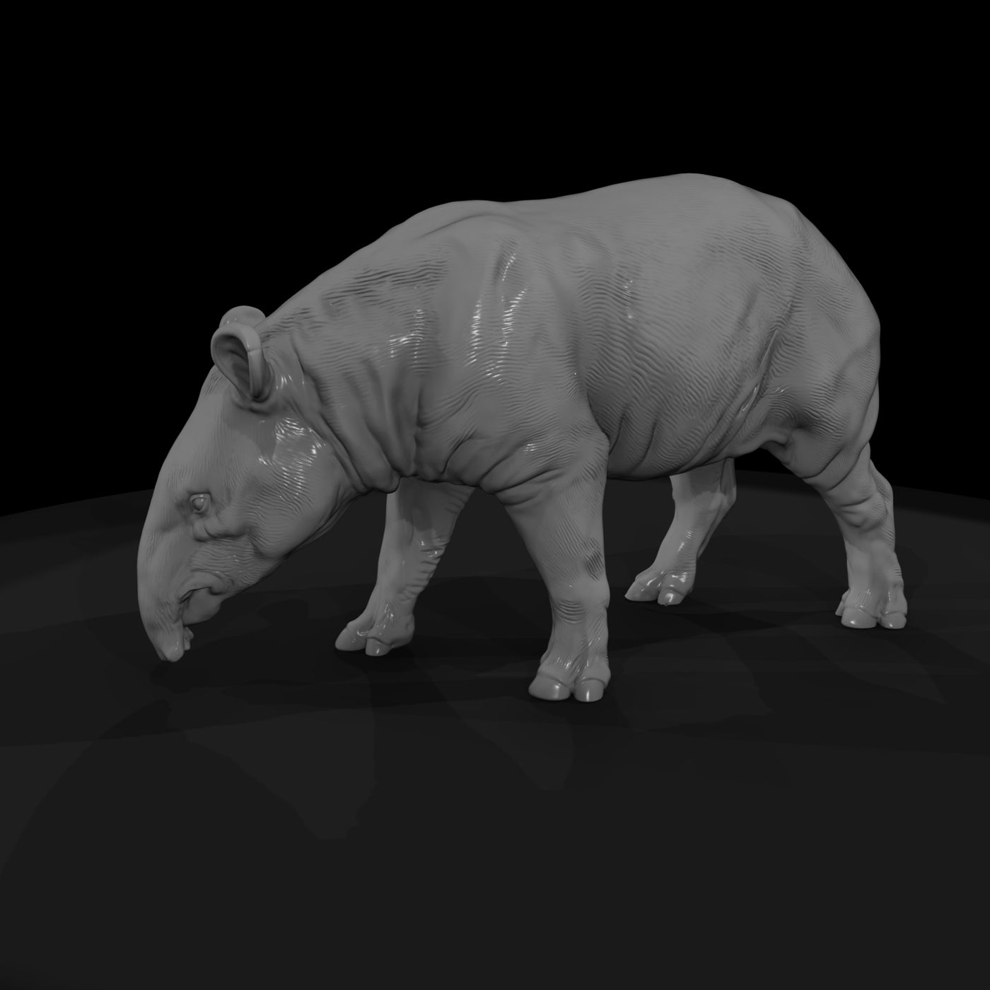 ant-253-malayan-tapir-male