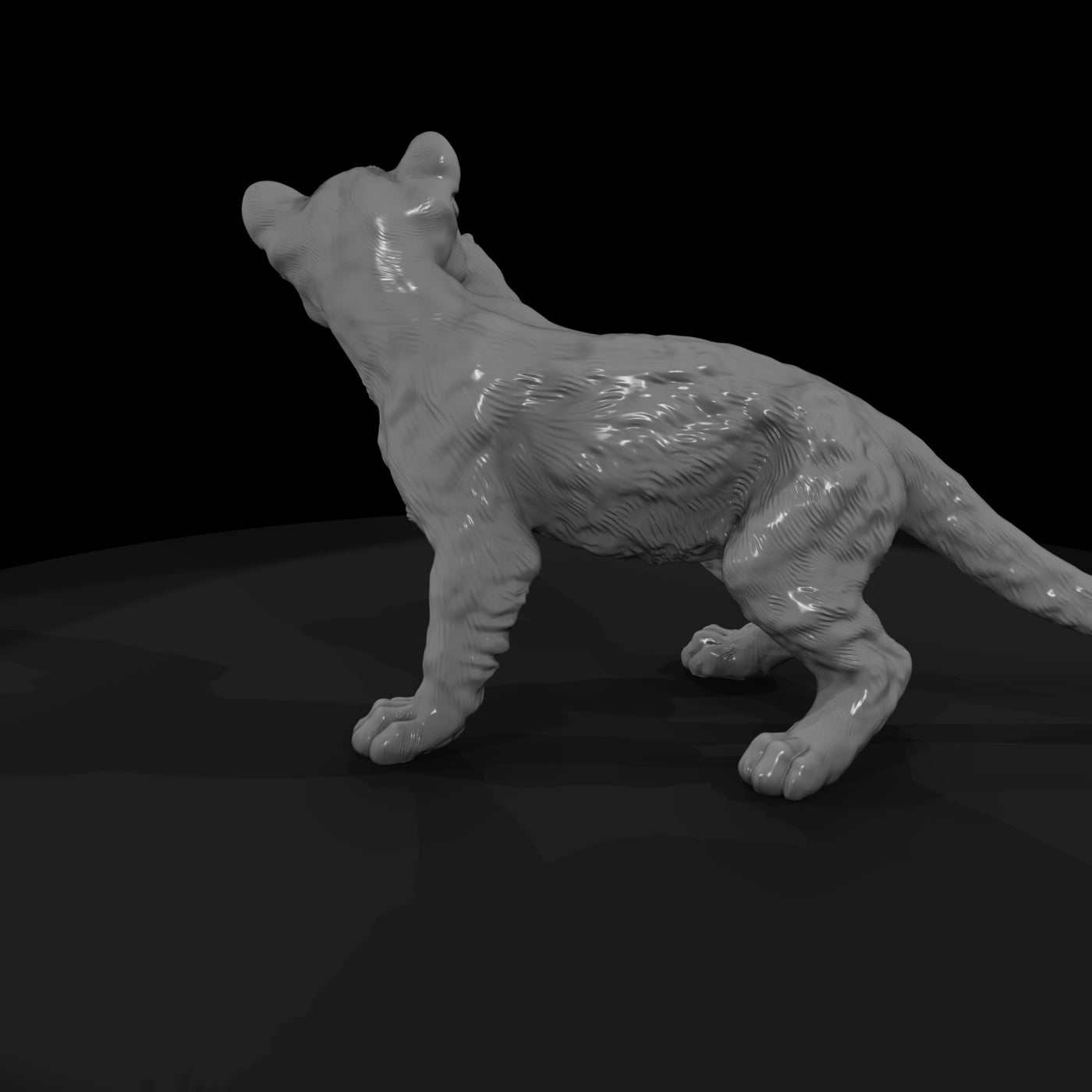 ant-147-cougar-adolescent