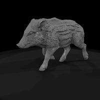ant-075-wild-boar-adolescent — thumbnail 5