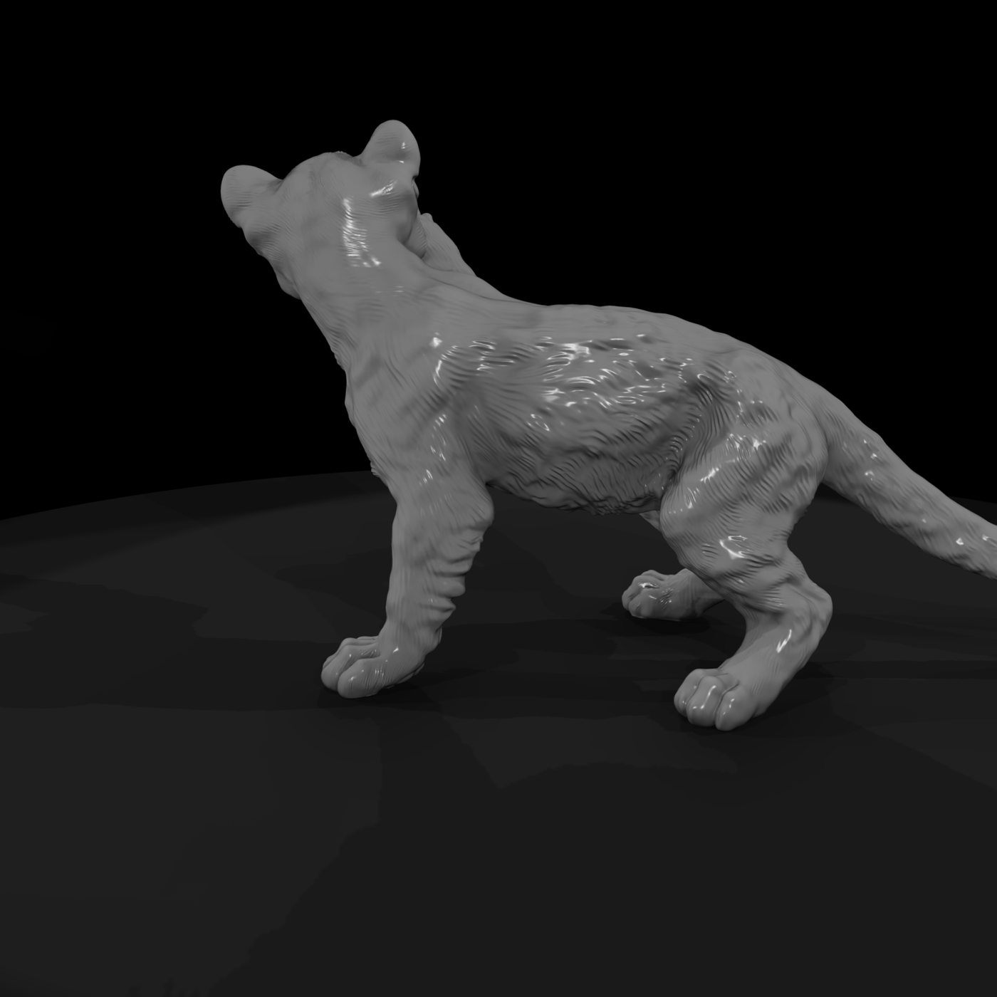 Cougar Cub