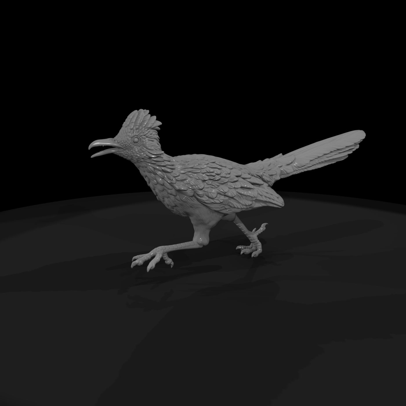 ww-0348-animal-roadrunner