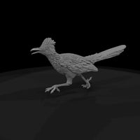 ww-0348-animal-roadrunner — thumbnail 5