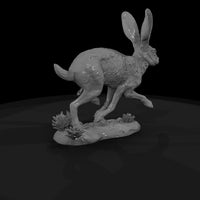 ww-0322-animal-jackrabbit — thumbnail 5