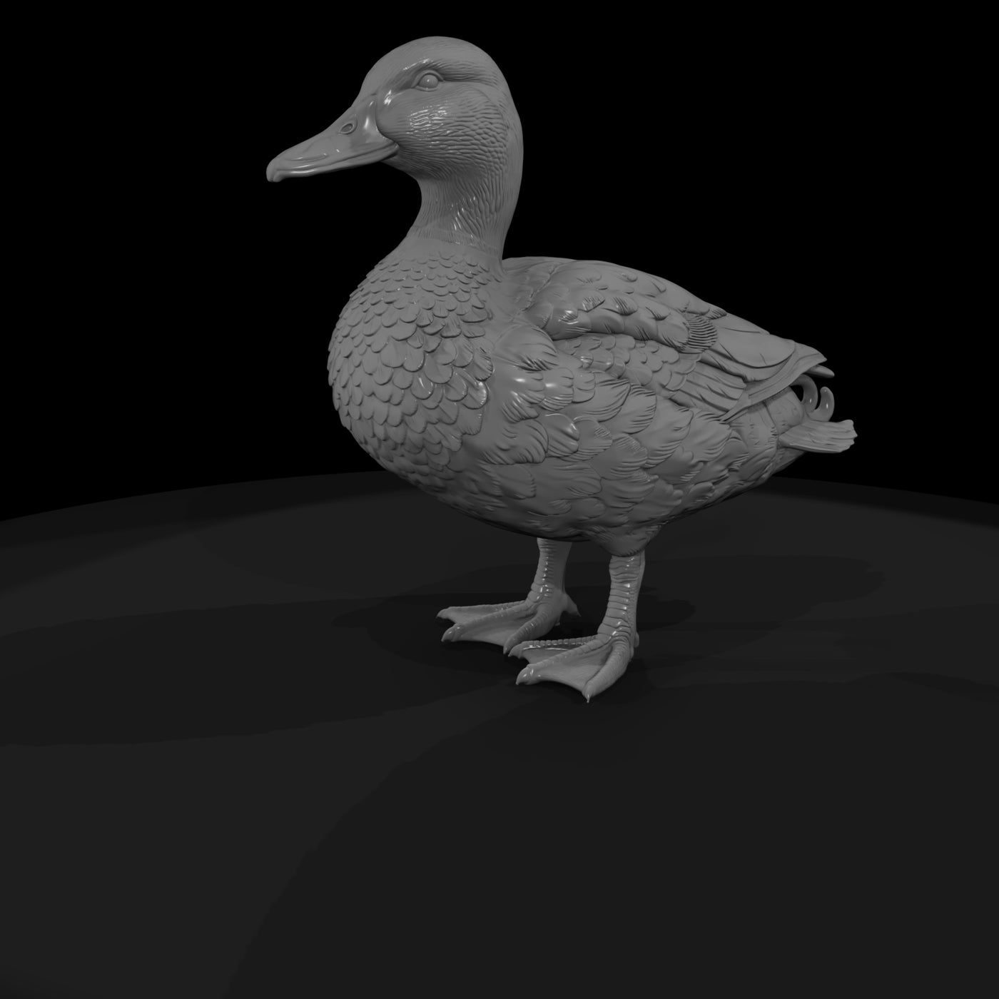 ant-088-mallard-male