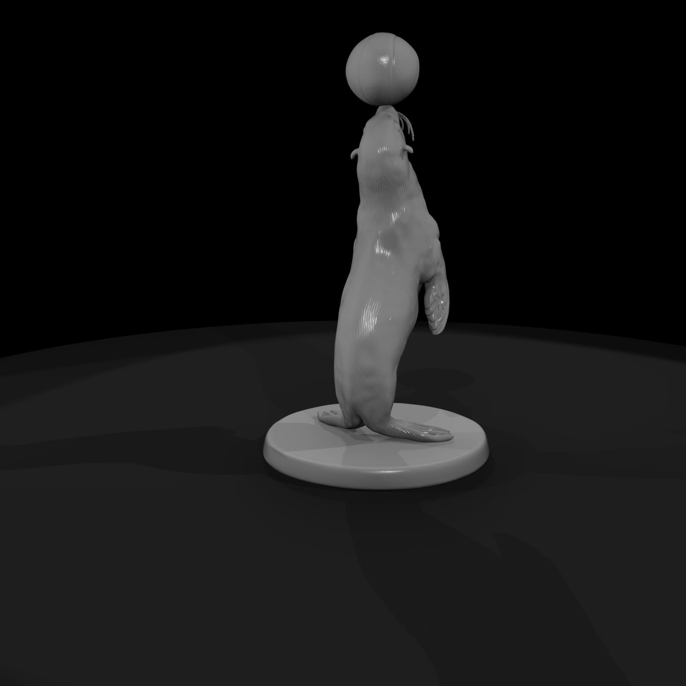cir-119-animal-balancing-seal