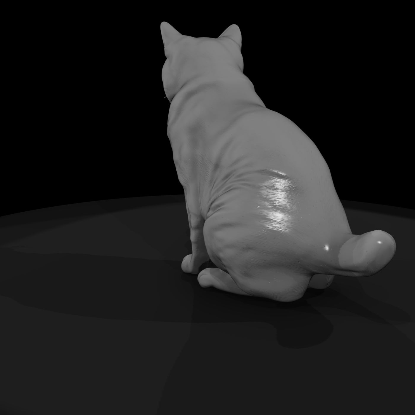 a-collection-of-housecats-manx-ab5ed3df-meshref