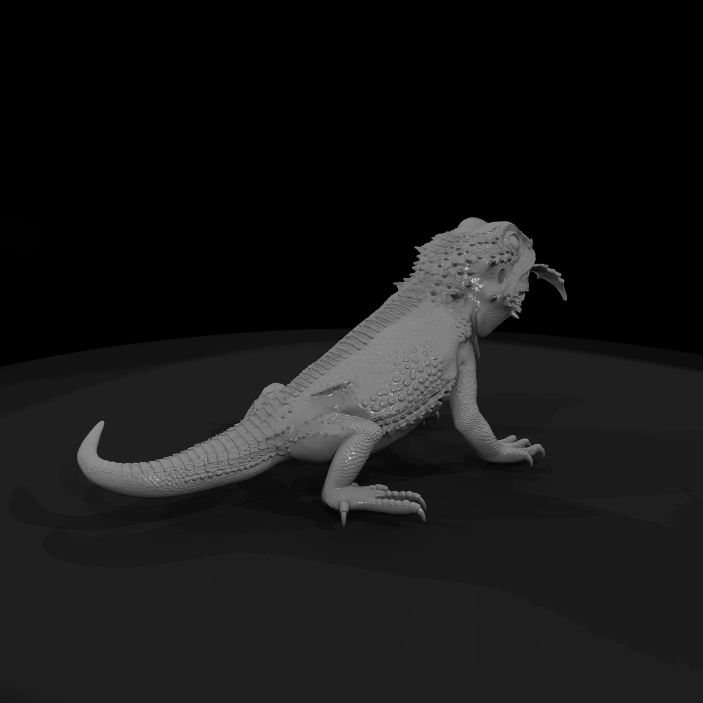 Bearded Dragon