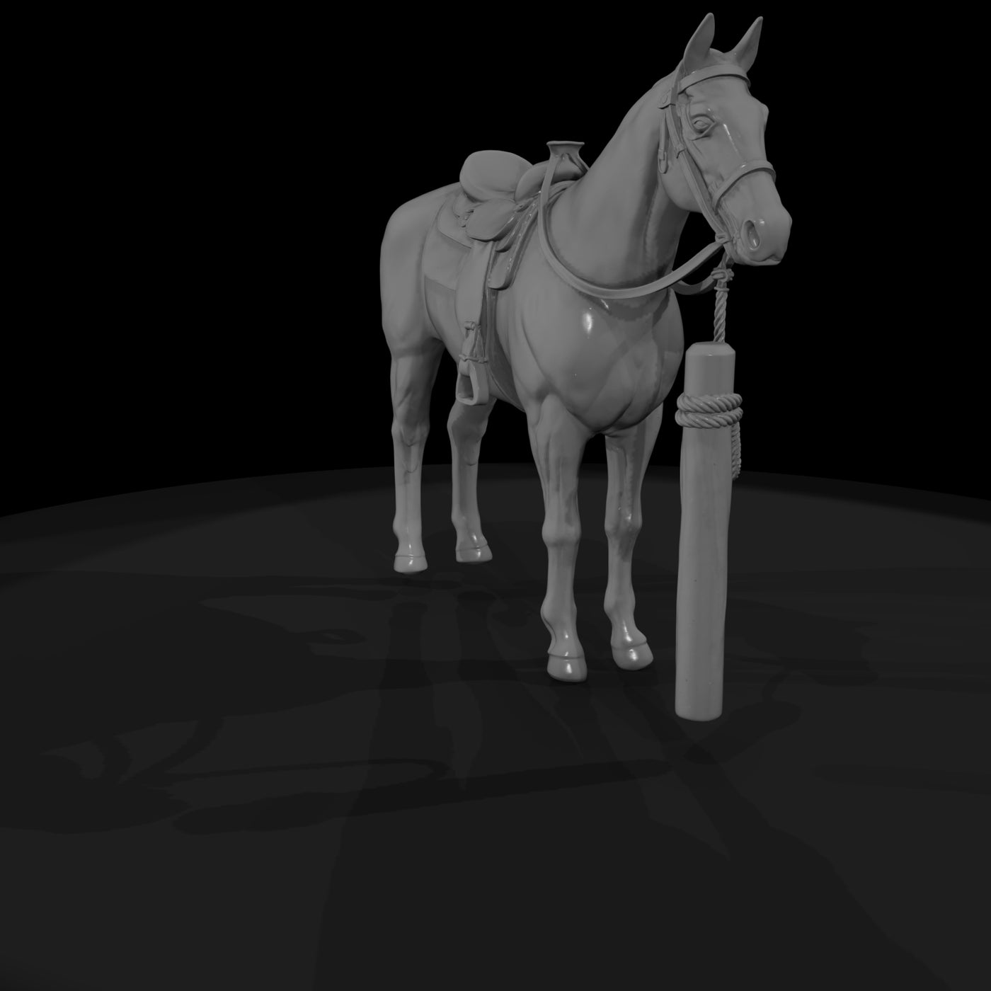 horse-white