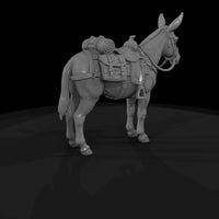 ww-0277-animal-mule — thumbnail 5