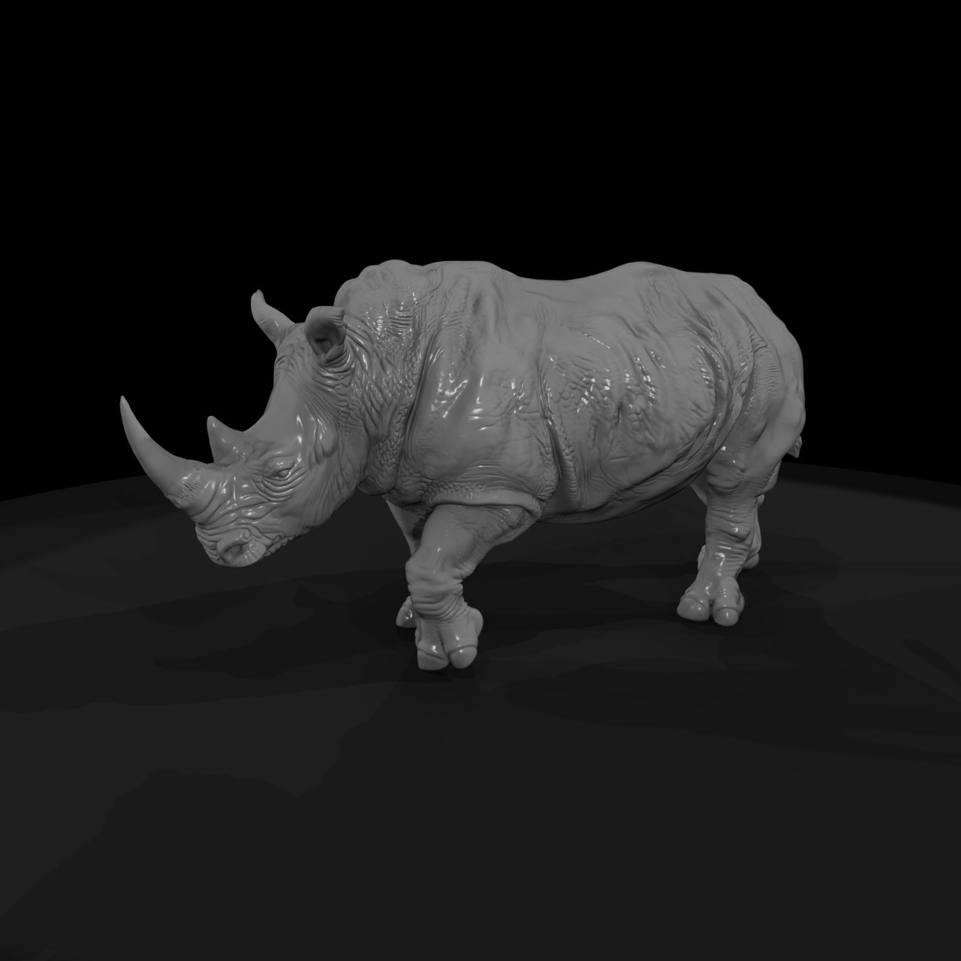 ant-032-white-rhinoceros-female