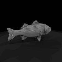striped-bass-miniature-3d-printable-for-dioramas-model-railroads-886837 — thumbnail 6