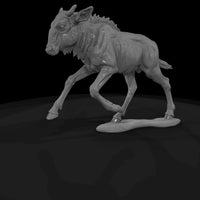 ant-228-blue-wildebeest-adolescent — thumbnail 5