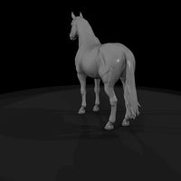 bay-horse — thumbnail 7