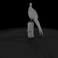 ring-necked-pheasant-miniature-for-dioramas-175995 — thumbnail 6