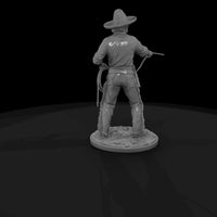 ww-0119-townsfolk-horse-breaker — thumbnail 5