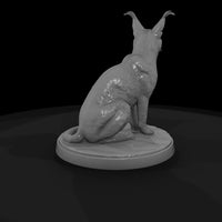 ant-164-caracal-female — thumbnail 5