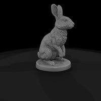 anim-24-rabbit-2f9bef — thumbnail 6