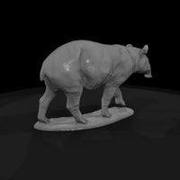 ant-254-malayan-tapir-female — thumbnail 5