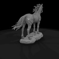 ww-0287-animal-wild-mustang — thumbnail 5