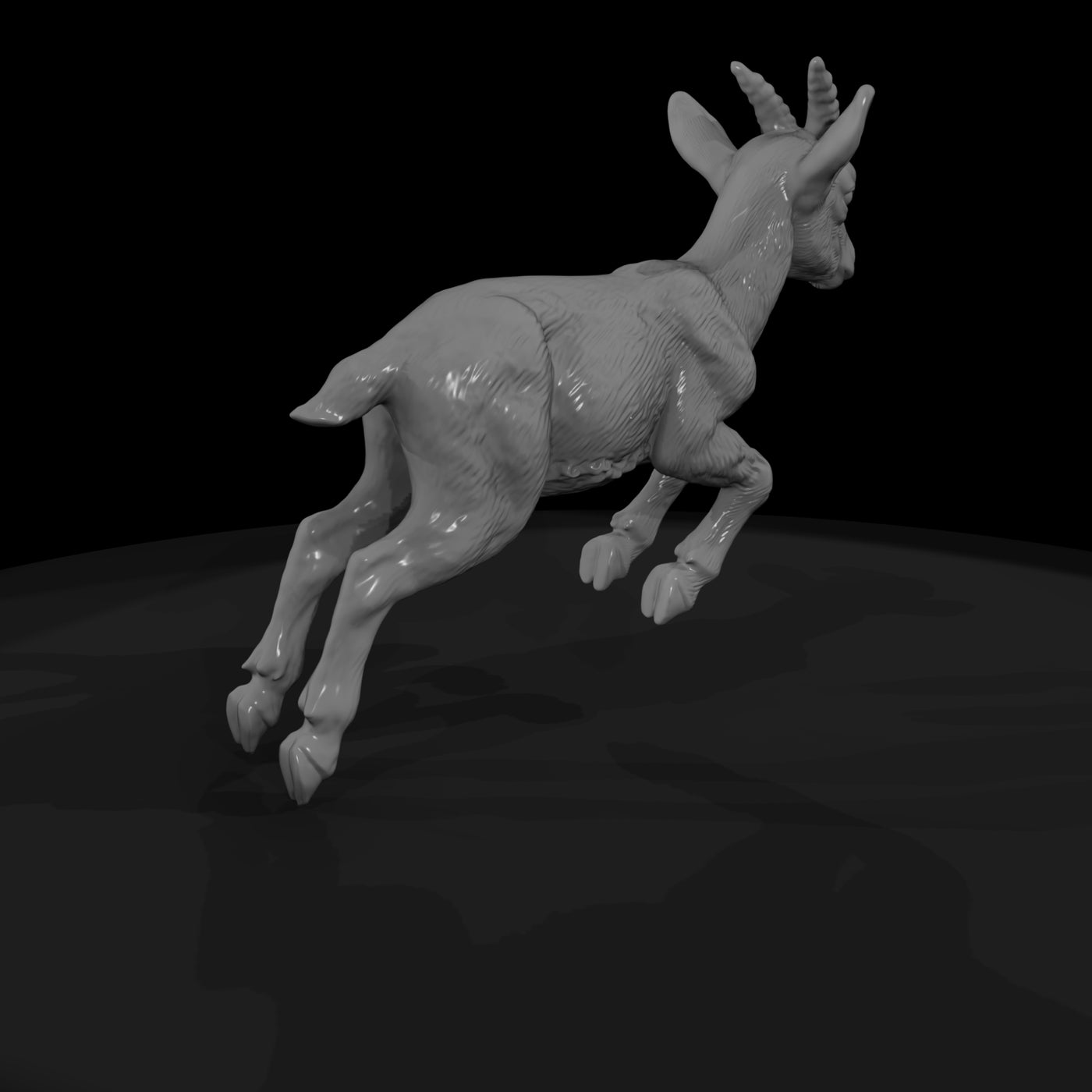 ant-282-markhor-adolescent