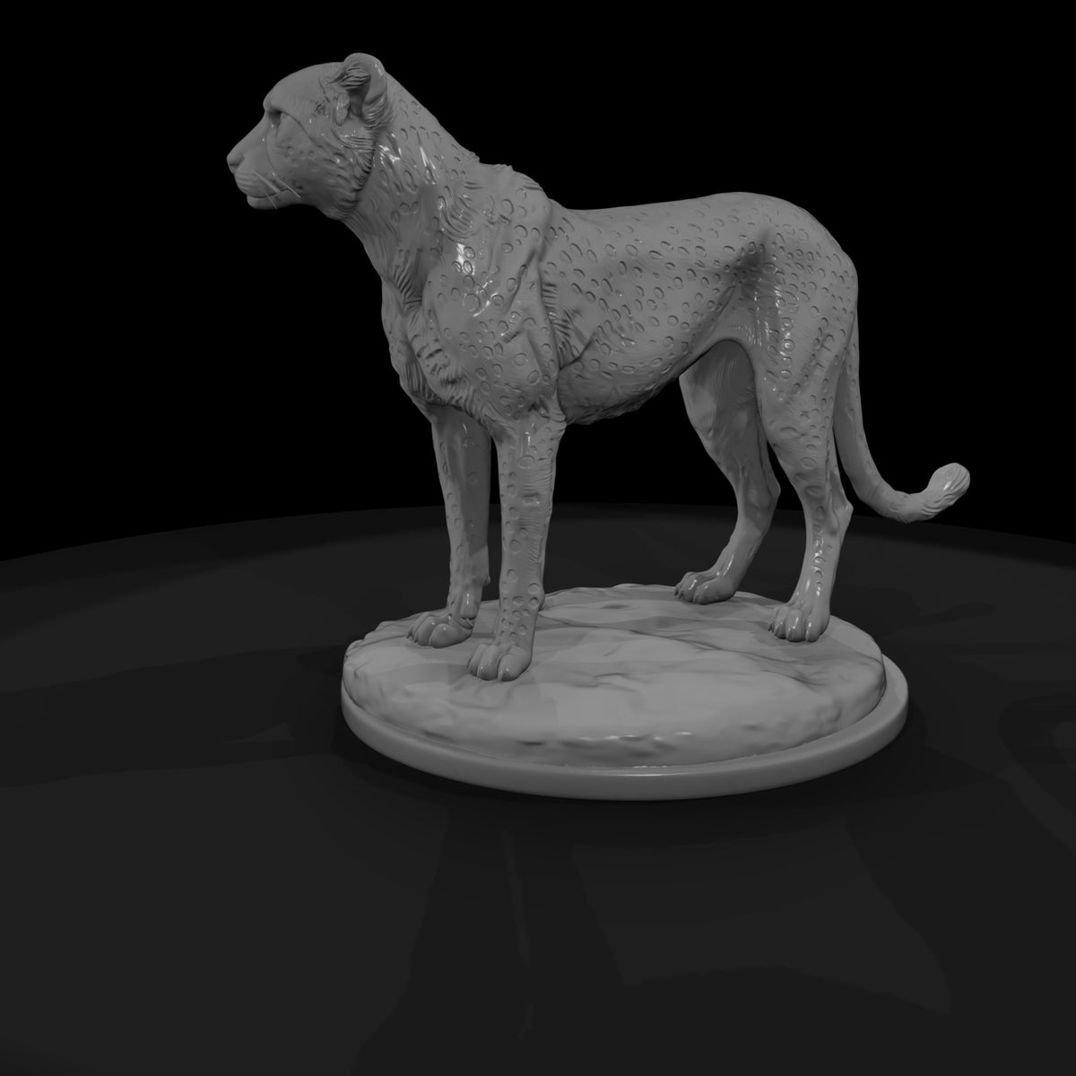 ant-010-cheetah-male