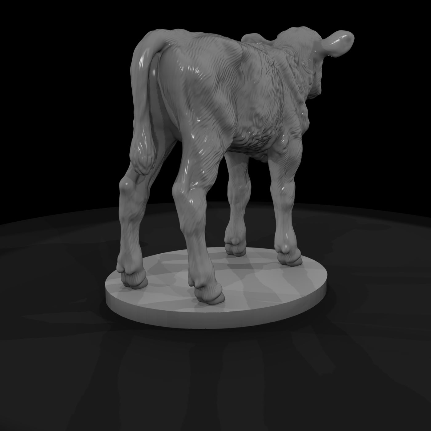 ww-0297-animal-calf